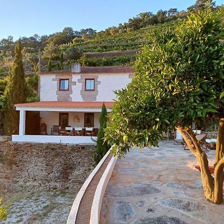 Country House Quinta Da Salgueira Alijo Ngoại thất bức ảnh