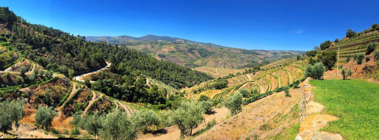 Country House Quinta Da Salgueira Alijo Ngoại thất bức ảnh