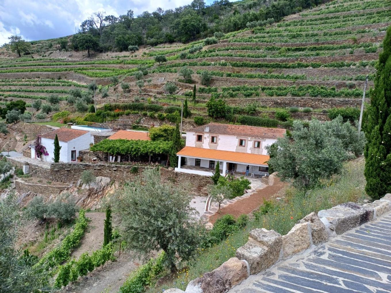 Country House Quinta Da Salgueira Alijo Ngoại thất bức ảnh