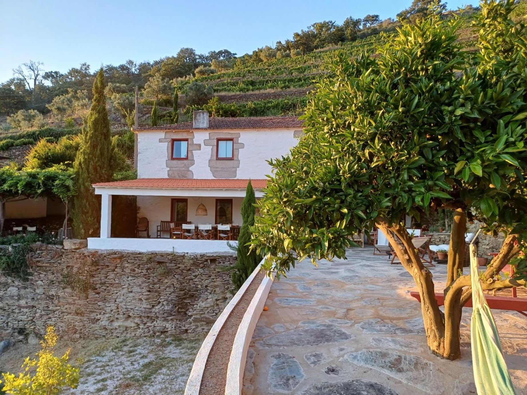 Country House Quinta Da Salgueira Alijo Ngoại thất bức ảnh