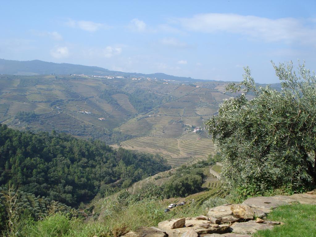 Country House Quinta Da Salgueira Alijo Ngoại thất bức ảnh